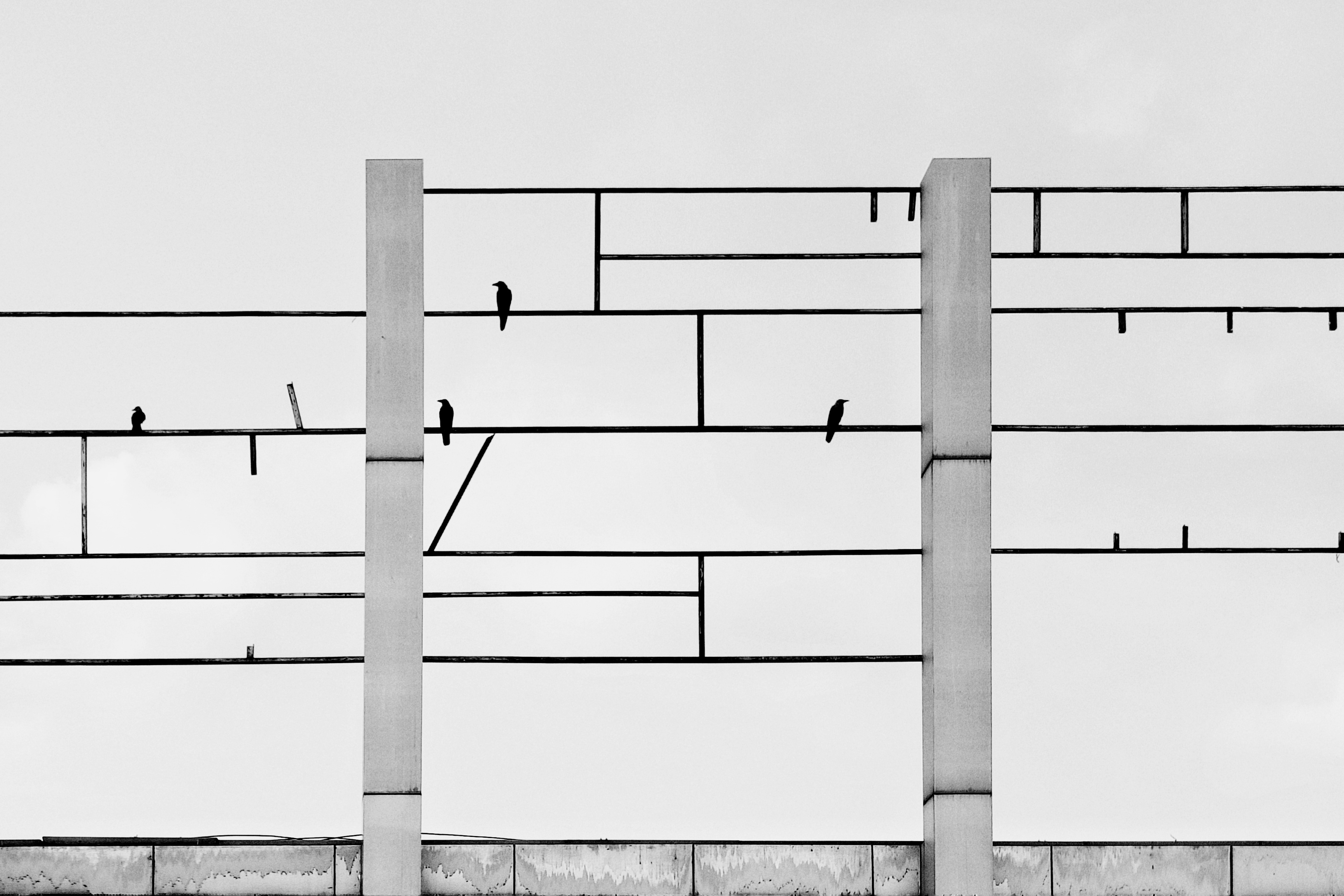 Street Photography Black & White 26